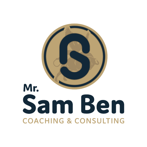 Logo partenaire - Mr sam ben